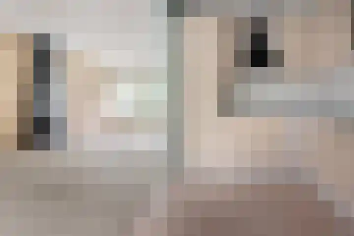 De Tsjotter 5 Joure thumbnail 12