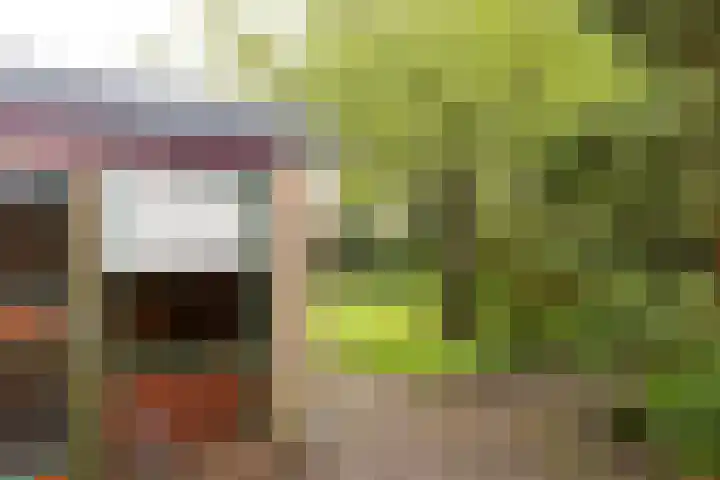 De Tsjotter 5 Joure thumbnail 25