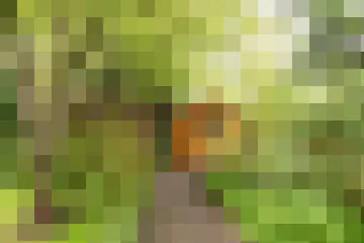 De Tsjotter 5 Joure thumbnail 26