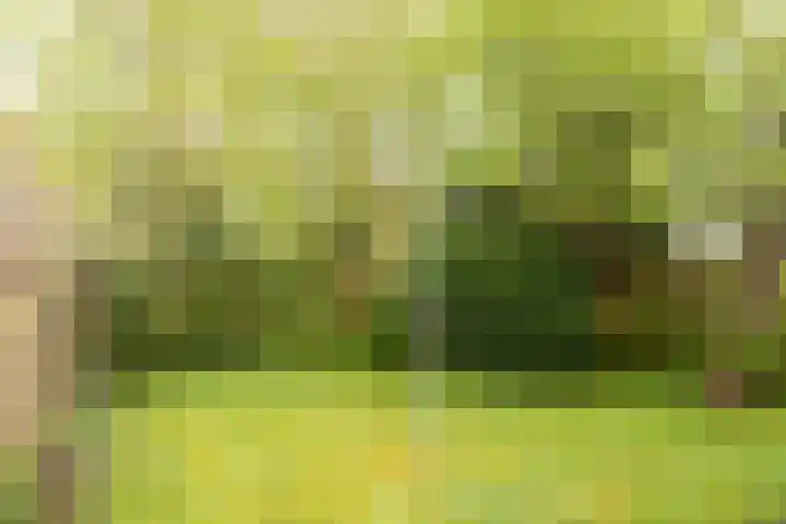 De Tsjotter 5 Joure thumbnail 27
