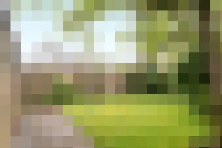 De Tsjotter 5 Joure thumbnail 28
