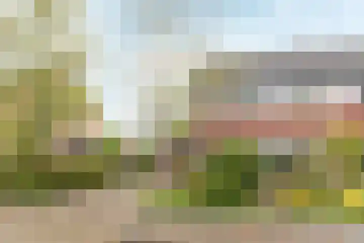 De Tsjotter 5 Joure thumbnail 6