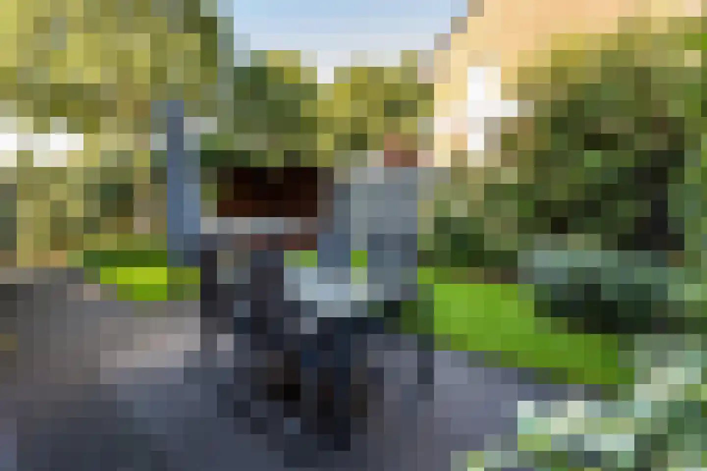 De Tuier 1 Groesbeek thumbnail 48