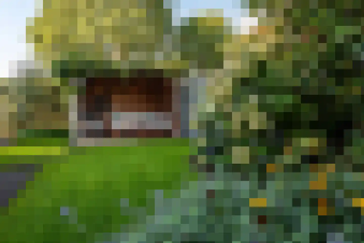 De Tuier 1 Groesbeek thumbnail 50