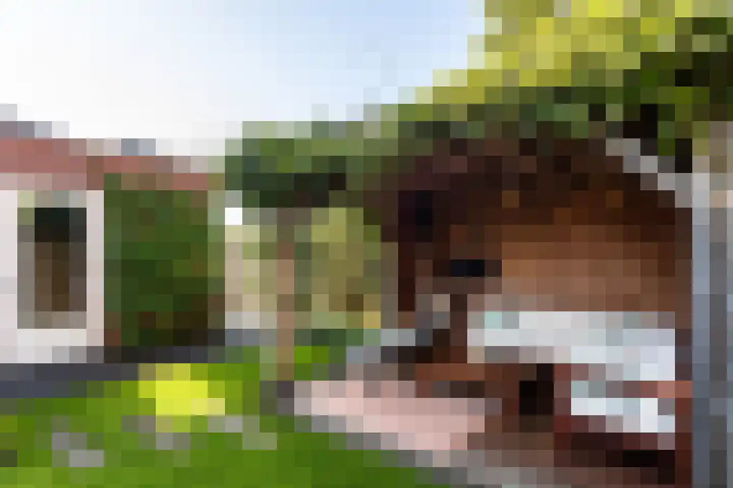 De Tuier 1 Groesbeek thumbnail 51