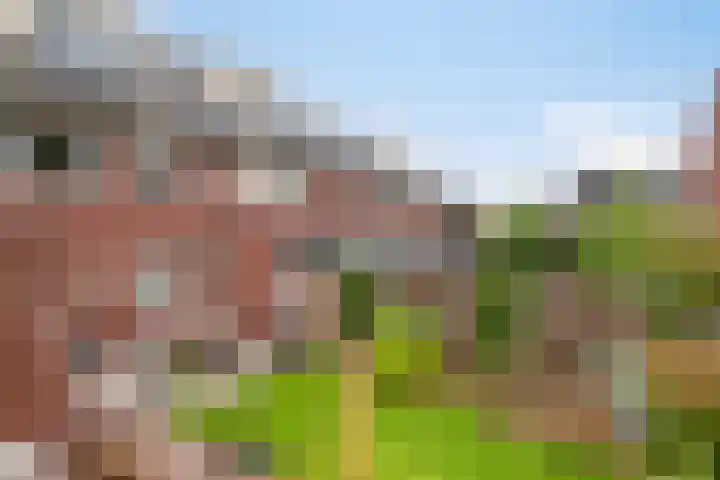 De Tuier 27 Groesbeek thumbnail 10
