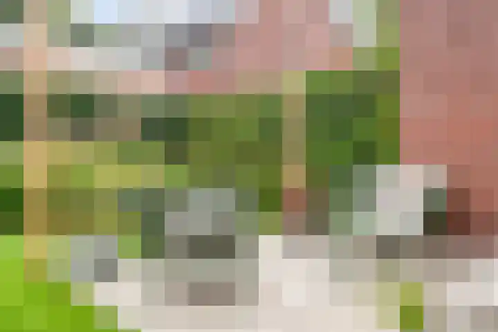 De Tuier 27 Groesbeek thumbnail 11