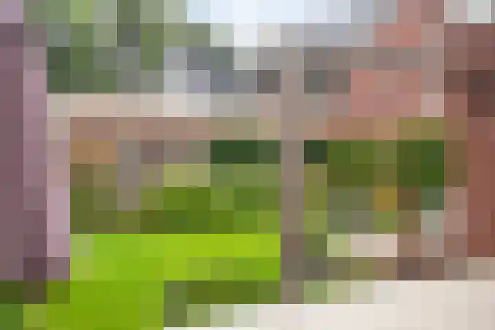 De Tuier 27 Groesbeek thumbnail 12