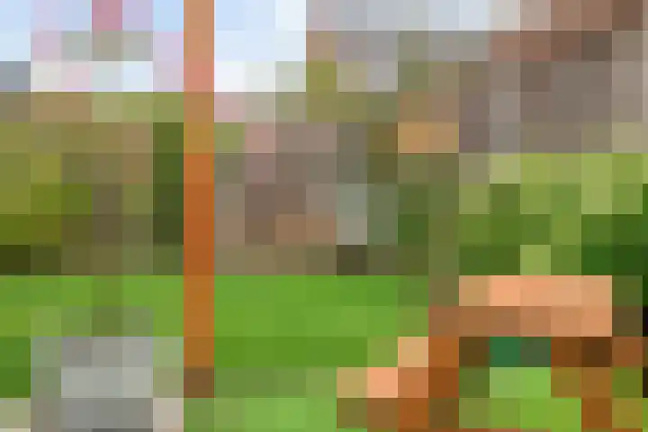 De Tuier 27 Groesbeek thumbnail 13