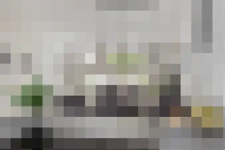 De Tuier 27 Groesbeek thumbnail 21