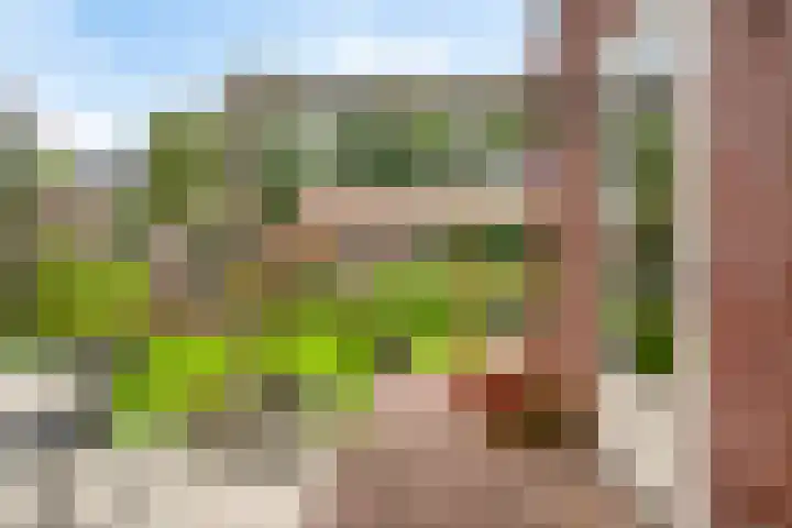 De Tuier 27 Groesbeek thumbnail 39