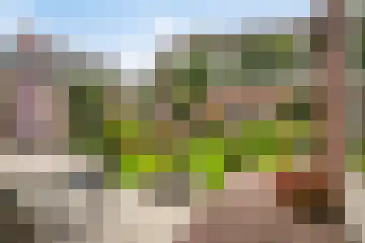 De Tuier 27 Groesbeek thumbnail 40