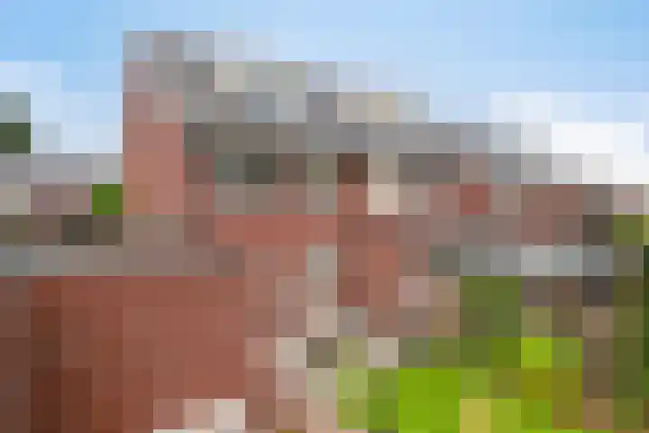 De Tuier 27 Groesbeek thumbnail 44