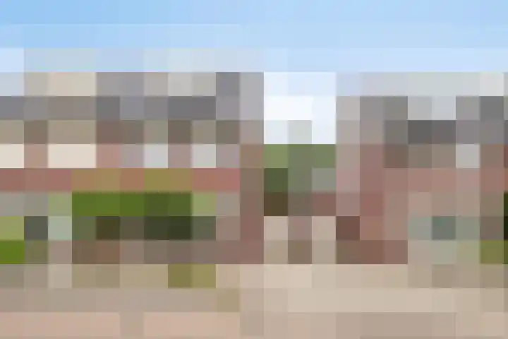 De Tuier 27 Groesbeek thumbnail 45