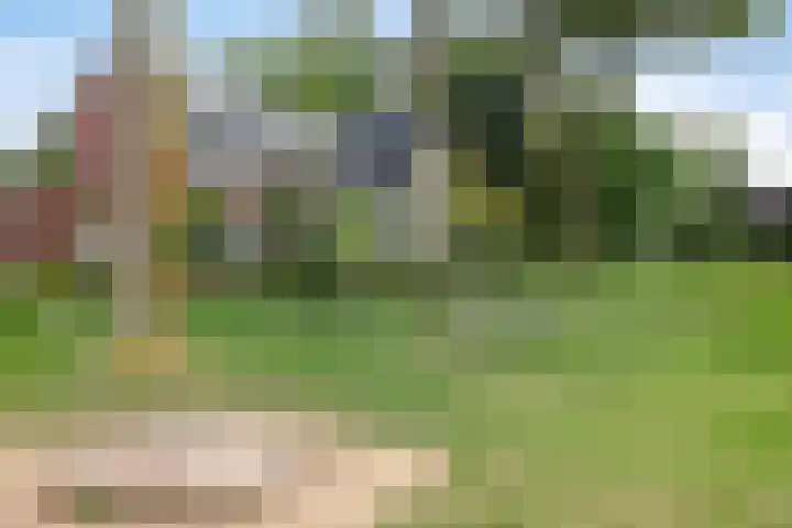 De Tuier 27 Groesbeek thumbnail 48