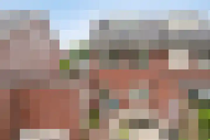 De Tuier 27 Groesbeek thumbnail 9