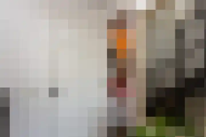 De Tuier 5 Groesbeek thumbnail 22