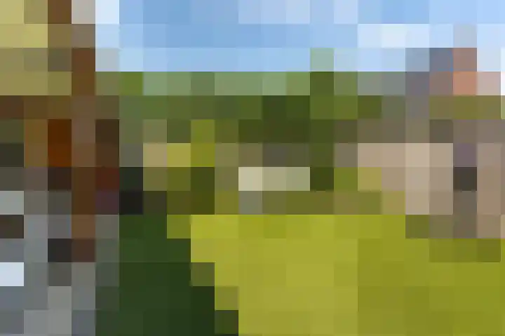 De Tuier 5 Groesbeek thumbnail 47
