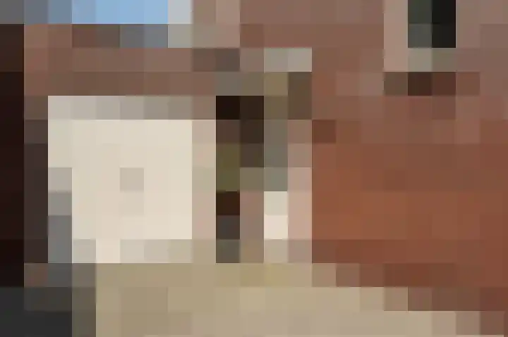 De Tuier 5 Groesbeek thumbnail 5