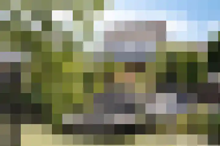 De Tuier 5 Groesbeek thumbnail 55