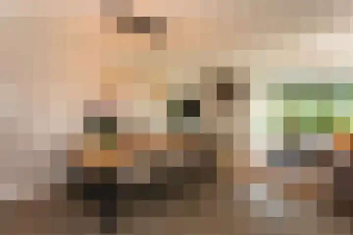 De Tuier 5 Groesbeek thumbnail 8