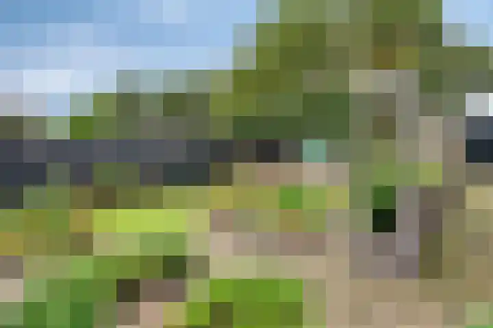 De Tuier 84 Groesbeek thumbnail 38