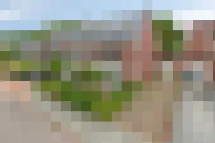 De Tuier 84 Groesbeek thumbnail 42