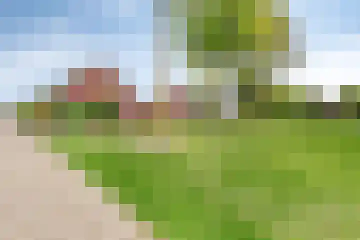 De Tuier 84 Groesbeek thumbnail 45