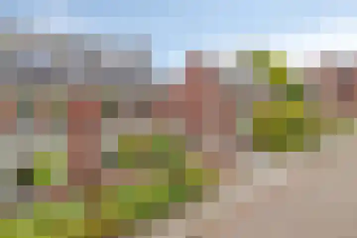 De Tuier 84 Groesbeek thumbnail 46