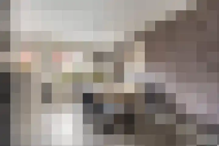 De Tuimelaar 20 Veenendaal thumbnail 10