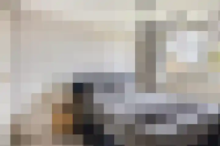 De Tuimelaar 20 Veenendaal thumbnail 12