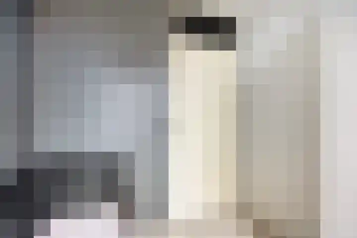 De Tuimelaar 20 Veenendaal thumbnail 17
