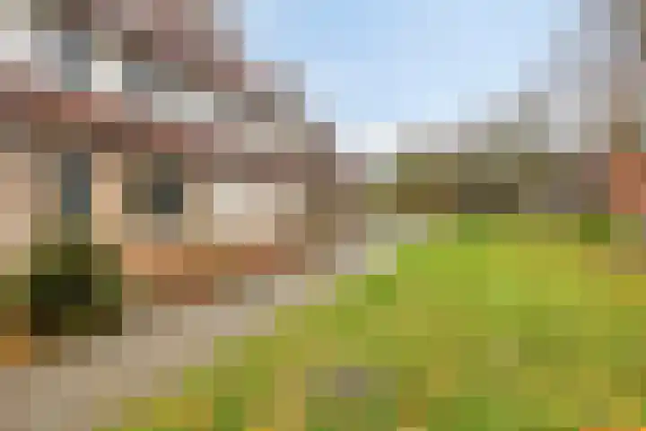 De Tuimelaar 20 Veenendaal thumbnail 25