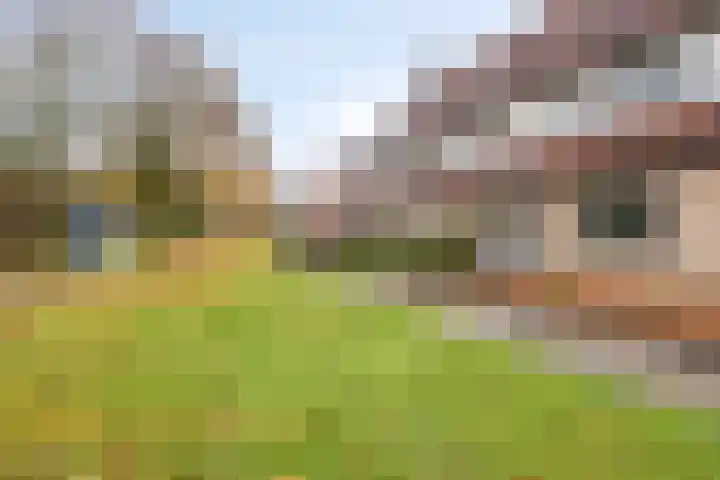 De Tuimelaar 20 Veenendaal thumbnail 26