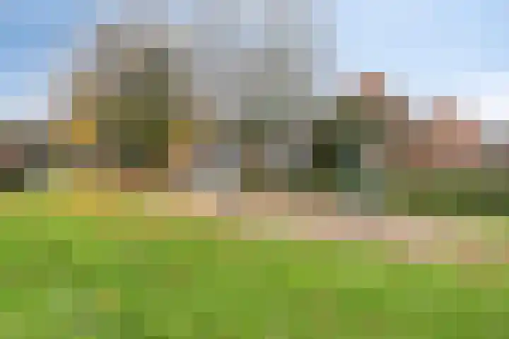 De Tuimelaar 20 Veenendaal thumbnail 27