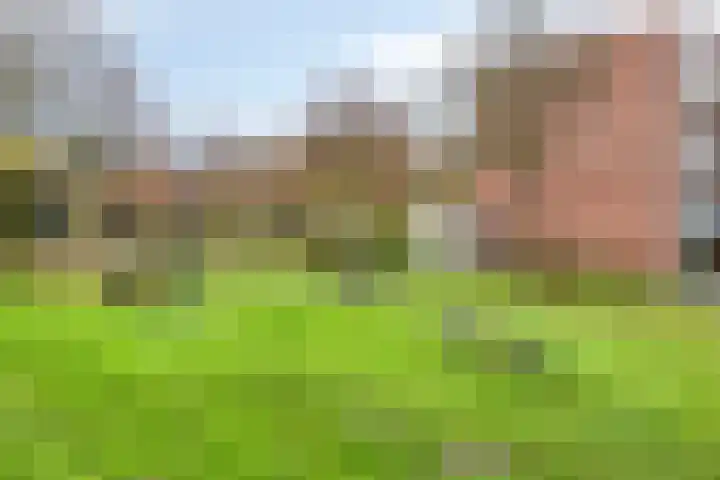 De Tuimelaar 20 Veenendaal thumbnail 28