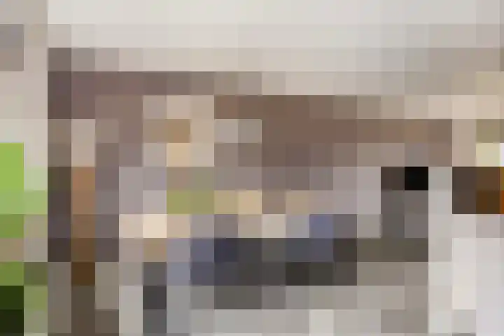De Tuimelaar 20 Veenendaal thumbnail 4