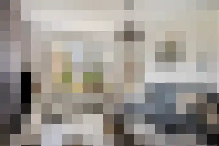 De Tuimelaar 20 Veenendaal thumbnail 8