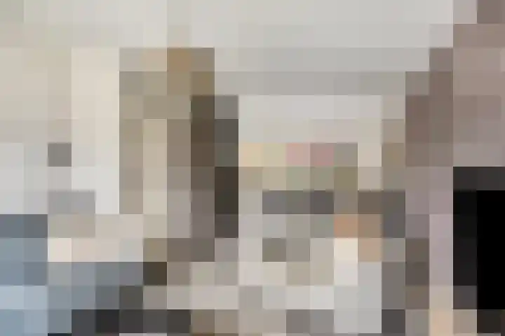 De Tuimelaar 20 Veenendaal thumbnail 9