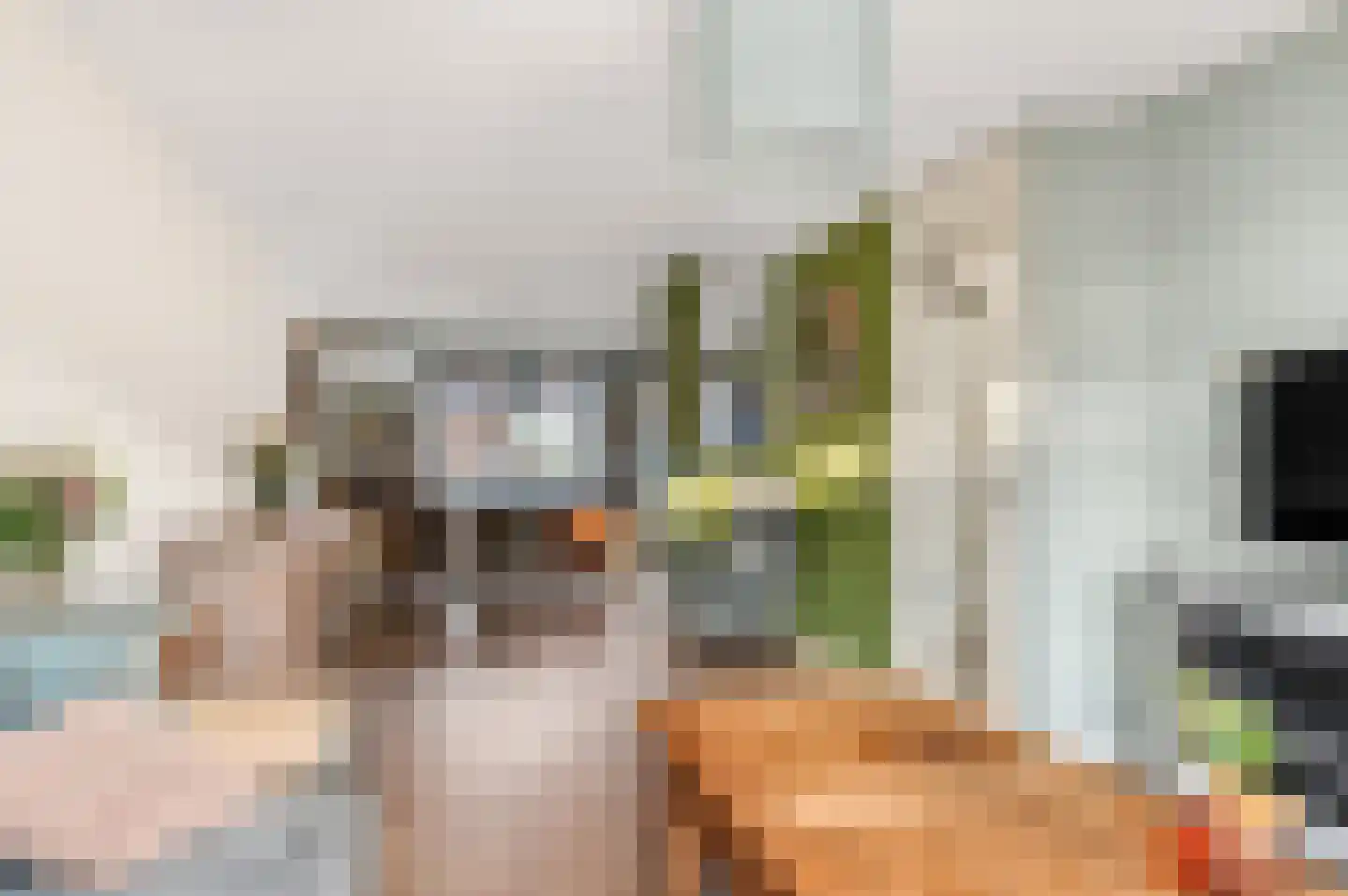 De Tuimelaar 4 Veenendaal thumbnail 13