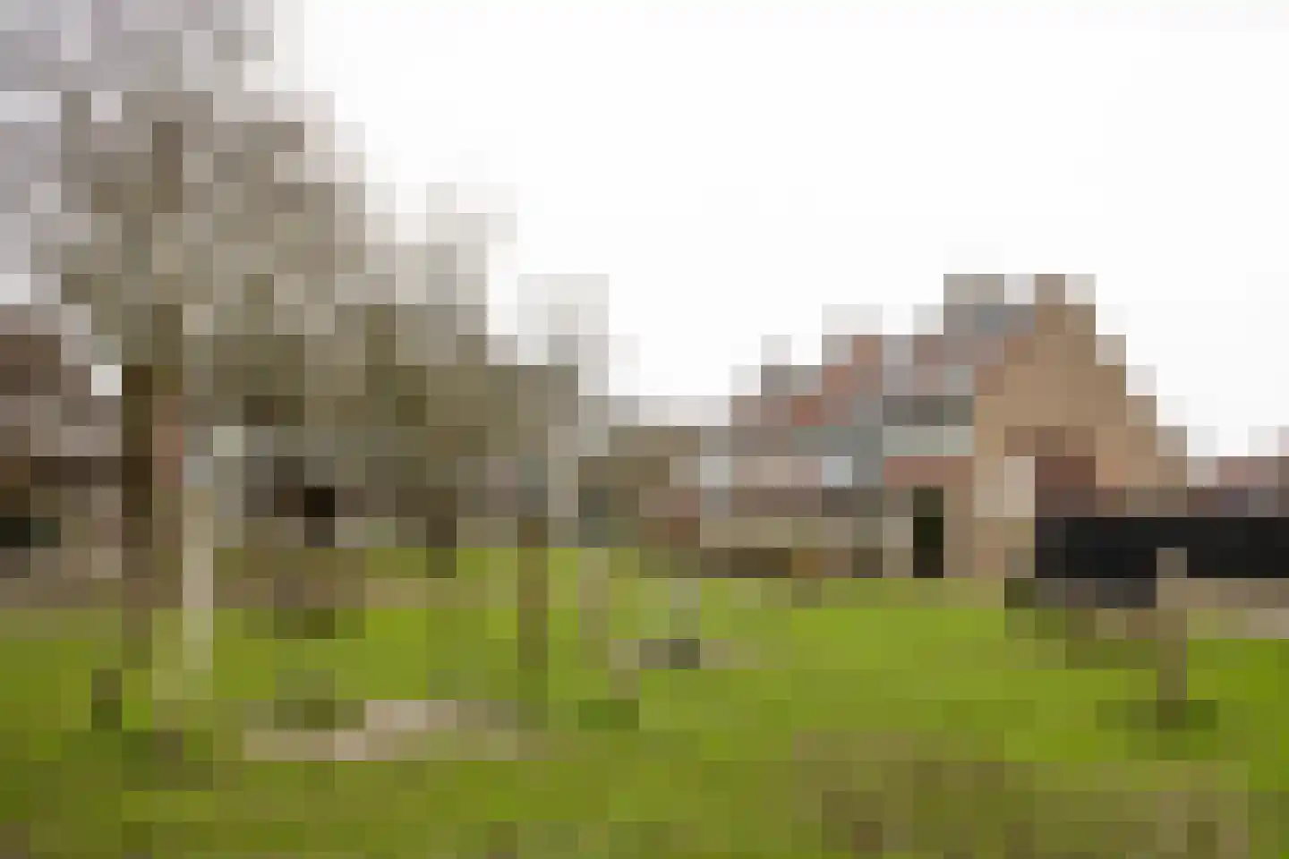 De Tuimelaar 4 Veenendaal thumbnail 5