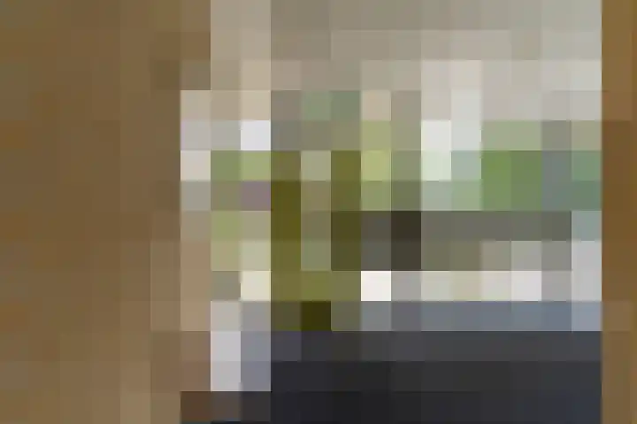 De Tuinbouw 25 Hoogkarspel thumbnail 8