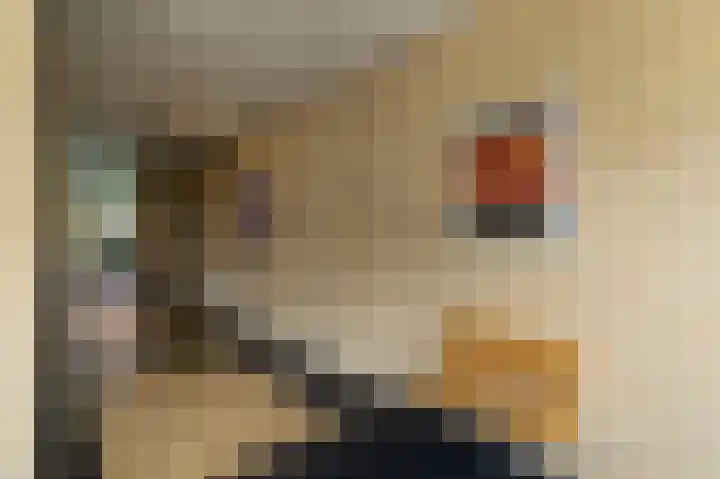 De Tuinbouw 25 Hoogkarspel thumbnail 9