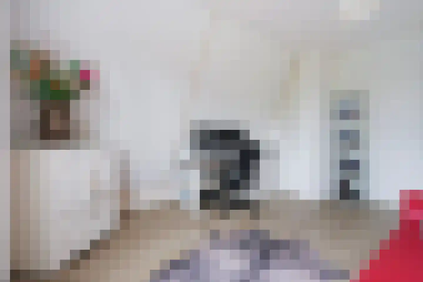 De Tuinderij 28 Vlissingen thumbnail 20