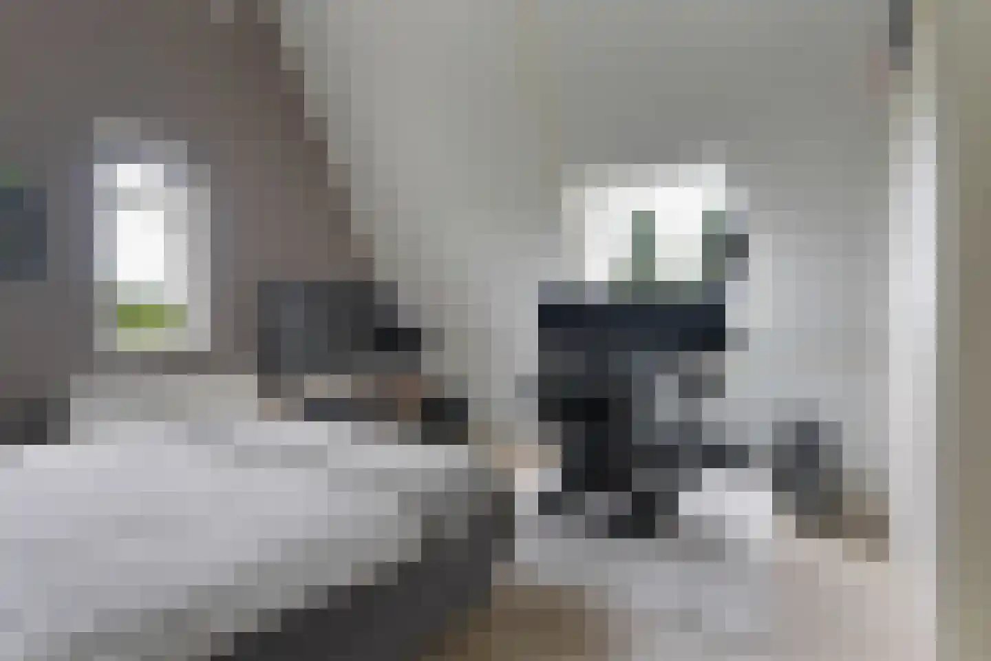 De Tuinderij 28 Vlissingen thumbnail 30