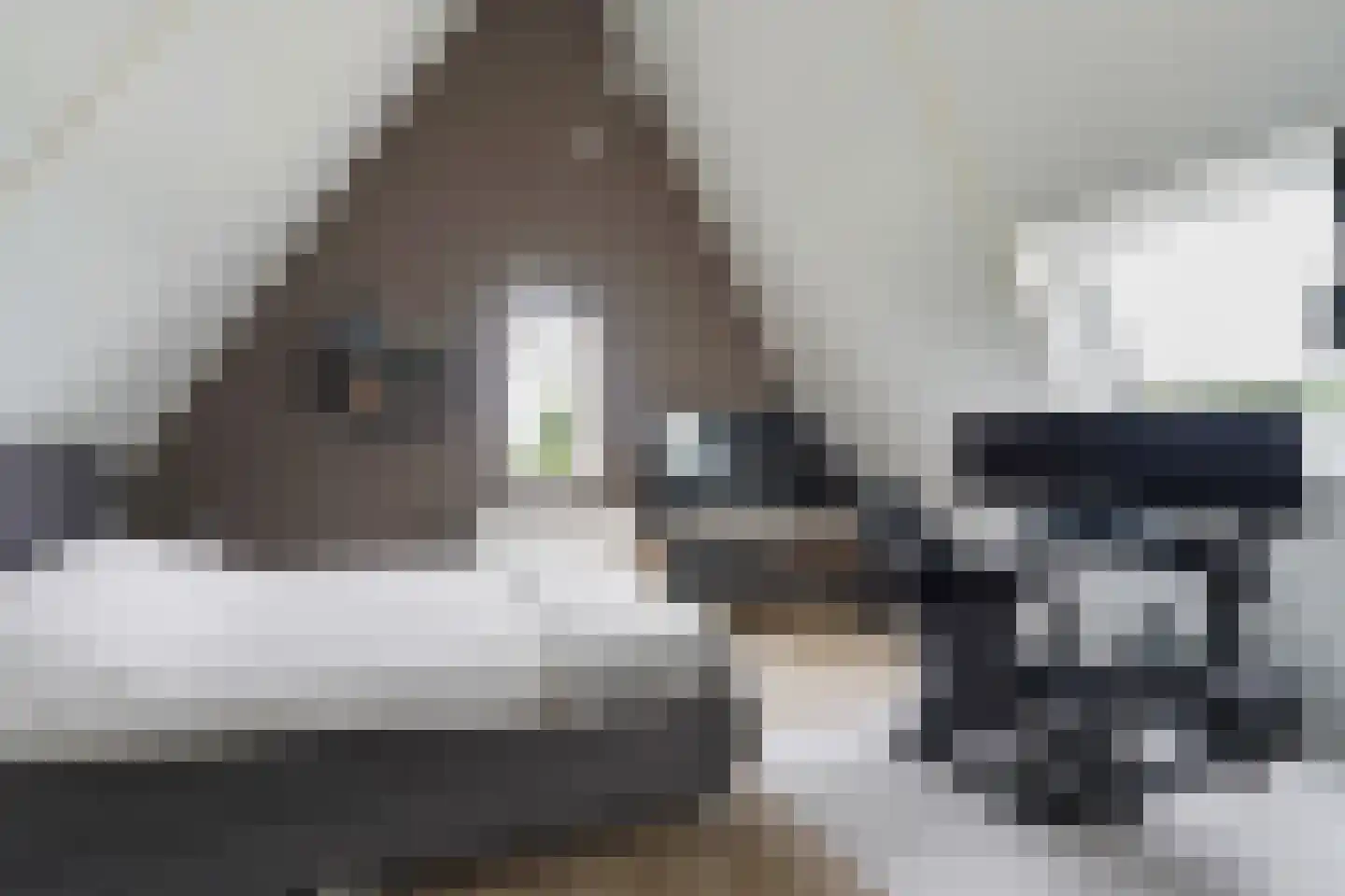 De Tuinderij 28 Vlissingen thumbnail 31