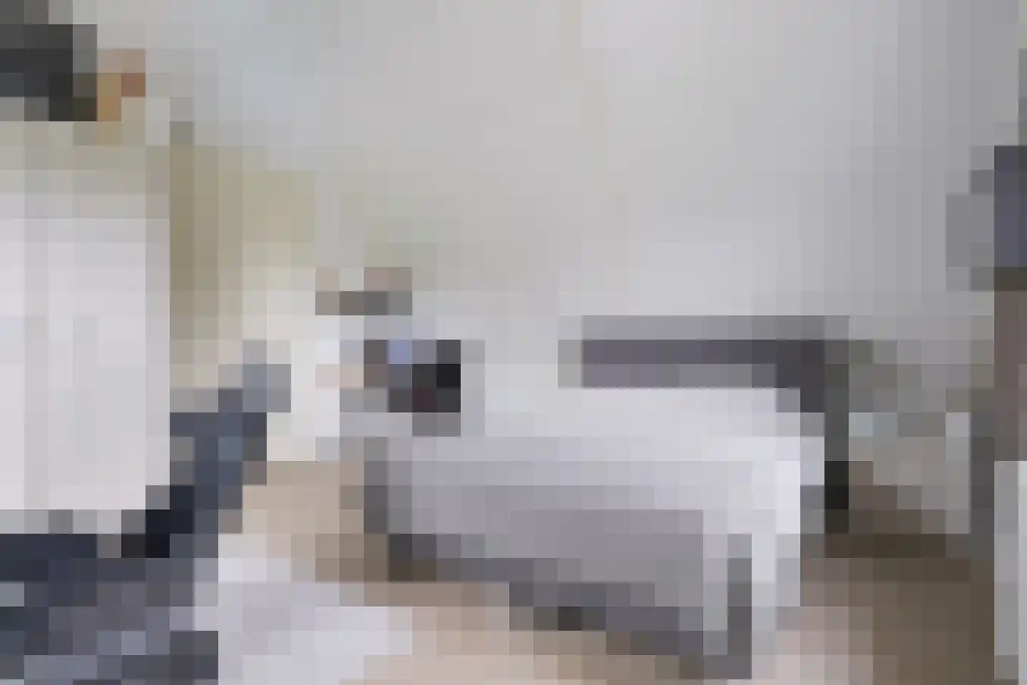 De Tuinderij 28 Vlissingen thumbnail 32
