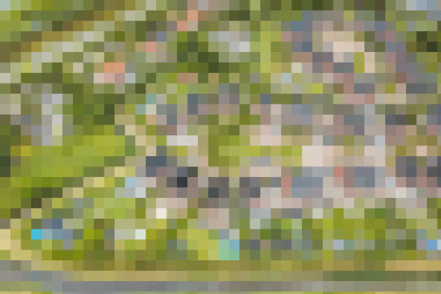 De Tuinderij 28 Vlissingen thumbnail 46