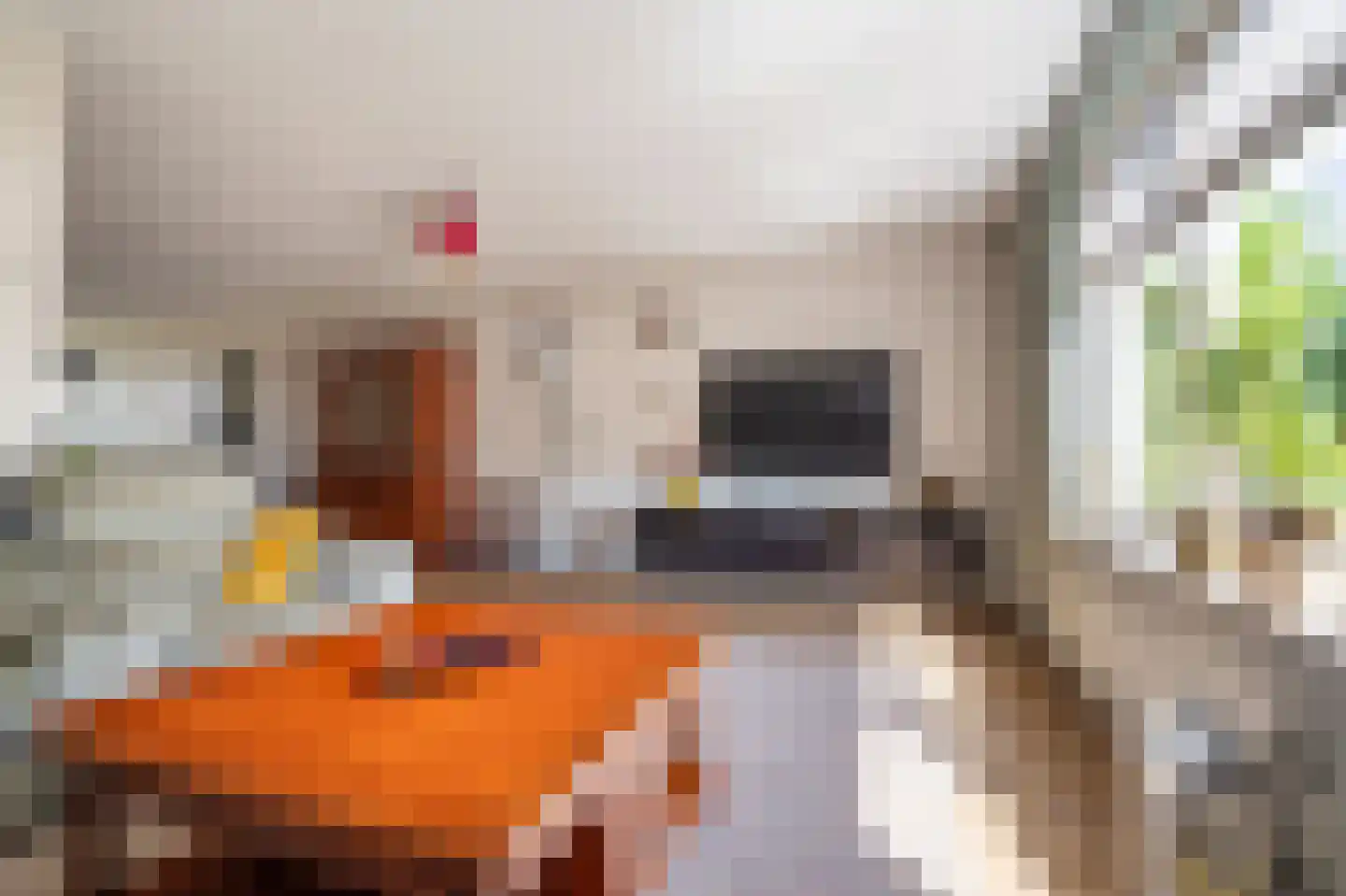 De Tuinderij 29 Hoogezand thumbnail 5