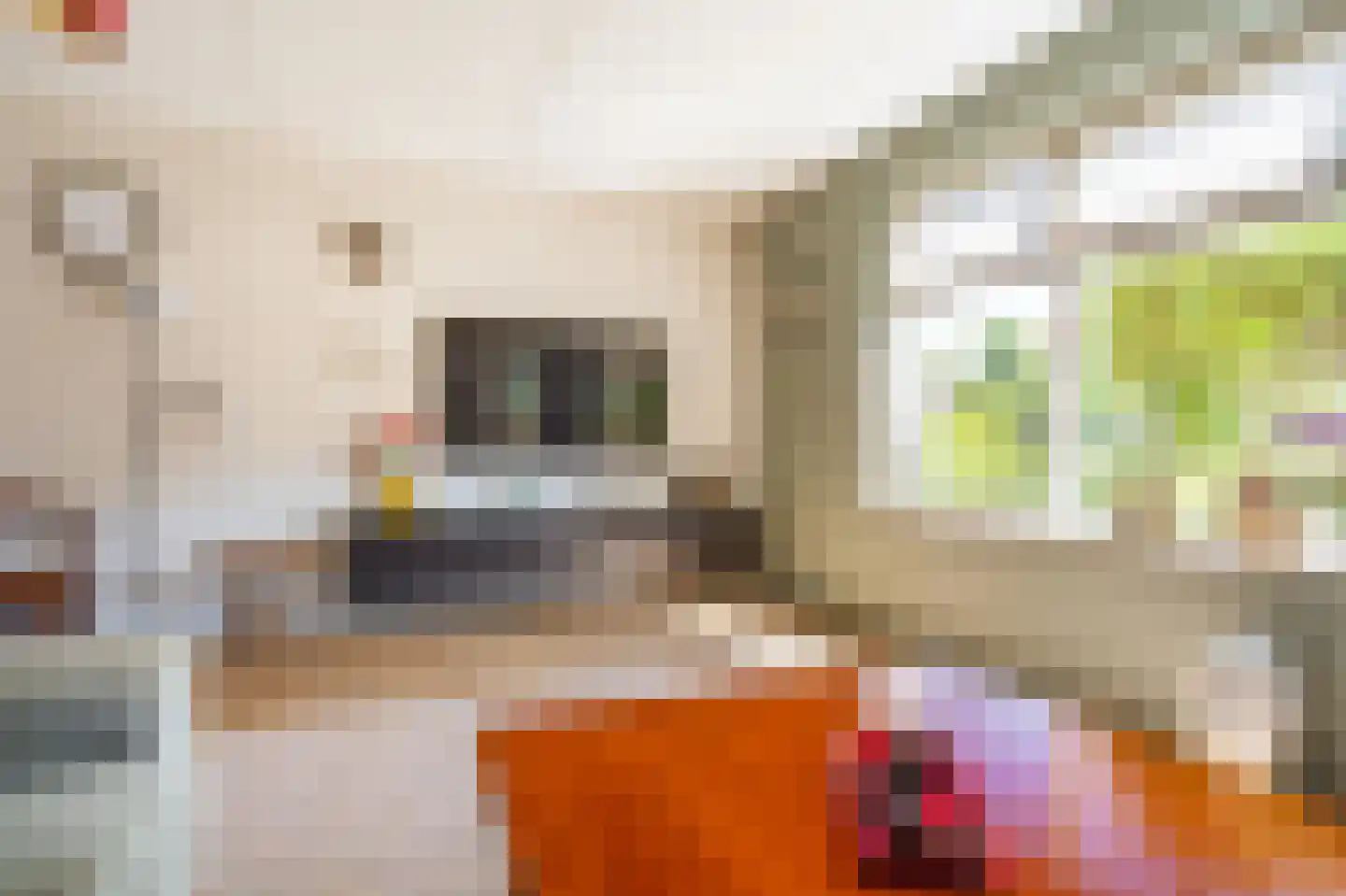 De Tuinderij 29 Hoogezand thumbnail 6